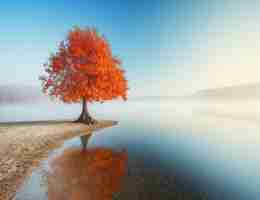 javascript基​础‍入​门‌书​籍‍